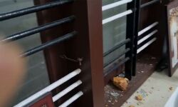 കെ സുധാകാരന്റെ ഭാര്യാസഹോദരിയുടെ വീടിനു നേരെ ആക്രമണം;  പിന്നില്‍ സിപിഎം പ്രവര്‍ത്തകരെന്ന് ആരോപണം