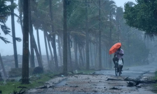 11 ജില്ലകളില്‍ വ്യാഴാഴ്ച യെല്ലോ അലര്‍ട്ട്; മത്സ്യബന്ധനത്തിന് വിലക്ക്