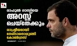 രാഹുല്‍ ഗാന്ധിയെ അറസ്റ്റ് ചെയ്‌തേക്കും; രാഷ്ട്രീയമായി നേരിടാനൊരുങ്ങി കോണ്‍ഗ്രസ്