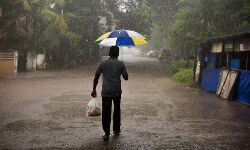 സംസ്ഥാനത്ത് കാലവര്‍ഷം കനക്കും: 11 ജില്ലയില്‍ ഇന്ന് യെല്ലോ അലര്‍ട്ട്; മത്സ്യബന്ധനത്തിന് വിലക്ക്