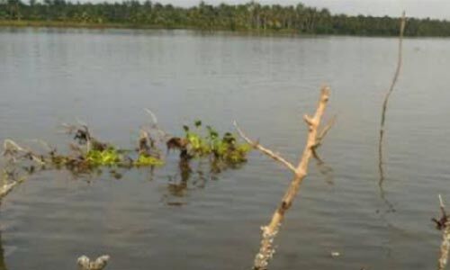ചീപ്പുഞ്ചിറ ടൂറിസം വികസനം യാഥാര്ഥ്യമാവുന്നു ചീപ്പുഞ്ചിറ ടൂറിസം വികസനം യാഥാര്ഥ്യമാവുന്നു