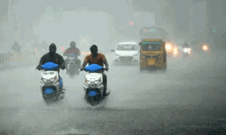 ജൂലൈ രണ്ടുവരെ സംസ്ഥാനത്ത് കനത്ത മഴയ്ക്ക് സാധ്യത; നാളെ 11 ജില്ലകളില്‍ യെല്ലോ അലര്‍ട്ട്