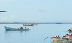 ഇതര സംസ്ഥാന ഫൈബര്‍ വള്ളങ്ങള്‍ അനുവദിക്കരുതെന്ന് കേരള മല്‍സ്യ മേഖലാ സംരക്ഷണ സമിതി