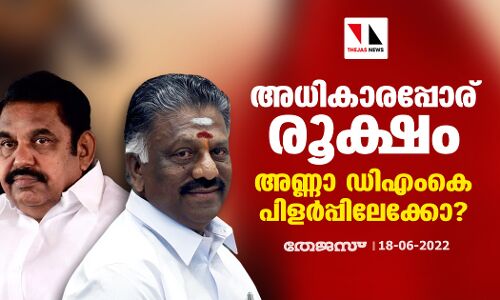 അധികാരപ്പോര് രൂക്ഷം; അണ്ണാ ഡിഎംകെ പിളര്‍പ്പിലേക്കോ?