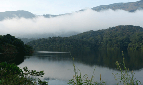 ശിരുവാണി ഡാമില്‍ നിന്ന് തമിഴ്‌നാടിന് പരമാവധി ജലം ലഭ്യമാക്കും: മുഖ്യമന്ത്രി