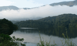 ശിരുവാണി ഡാമില്‍ നിന്ന് തമിഴ്‌നാടിന് പരമാവധി ജലം ലഭ്യമാക്കും: മുഖ്യമന്ത്രി