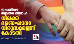 ജപ്പാനിലെ സ്വവര്‍ഗ വിവാഹ വിലക്ക് ഭരണഘടനാ വിരുദ്ധമല്ലെന്ന് കോടതി