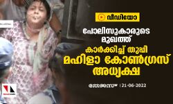 പോലിസുകാരുടെ മുഖത്ത് കാര്‍ക്കിച്ച് തുപ്പി മഹിളാ കോണ്‍ഗ്രസ് അധ്യക്ഷ (വീഡിയോ)