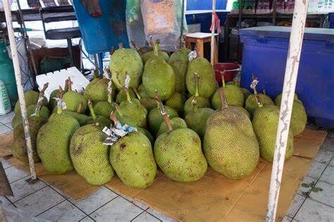 തൊഴില്‍ പരിശീലനം