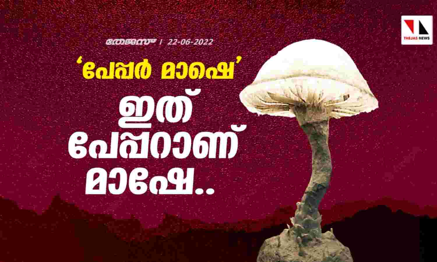പേപ്പര് മാഷെ,ഇത് പേപ്പറാണ് മാഷേ... പേപ്പര് മാഷെ,ഇത് പേപ്പറാണ് മാഷേ...