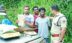 എംഡിഎംഎയും കഞ്ചാവുമായി യുവാവ് അറസ്റ്റില്‍