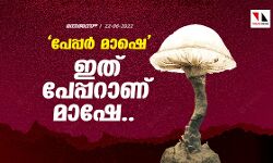 പേപ്പര്‍ മാഷെ,ഇത് പേപ്പറാണ് മാഷേ...