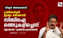സിസ്റ്റര്‍ അഭയക്കേസ്: പ്രതികള്‍ക്ക് ജാമ്യം ലഭിക്കാന്‍ സിബി ഐ ഒത്തുകളിച്ചെന്ന് ജോമോന്‍ പുത്തന്‍പുരയ്ക്കല്‍