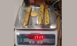 เดเดฃเตเดฃเตเดฐเตโ เดตเดฟเดฎเดพเดจเดคเตเดคเดพเดตเดณเดคเตเดคเดฟเดฒเตโ เดตเตเดฃเตเดเตเด เดธเตเดตเดฐเตโเดฃเด เดชเดฟเดเดฟเดเตเดเดฟ เดเดฃเตเดฃเตเดฐเตโ เดตเดฟเดฎเดพเดจเดคเตเดคเดพเดตเดณเดคเตเดคเดฟเดฒเตโ เดตเตเดฃเตเดเตเด เดธเตเดตเดฐเตโเดฃเด เดชเดฟเดเดฟเดเตเดเดฟ