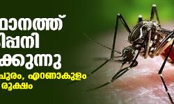 เดธเดเดธเตเดฅเดพเดจเดคเตเดคเต เดกเตเดเตเดเดฟเดชเตเดชเดจเดฟ เดตเตเดฏเดพเดชเดฟเดเตเดเตเดจเตเดจเต; เดคเดฟเดฐเตเดตเดจเดจเตเดคเดชเตเดฐเด, เดเดฑเดฃเดพเดเตเดณเด เดเดฟเดฒเตเดฒเดเดณเดฟเดฒเตโ เดฐเตเดเตเดทเด เดธเดเดธเตเดฅเดพเดจเดคเตเดคเต เดกเตเดเตเดเดฟเดชเตเดชเดจเดฟ เดตเตเดฏเดพเดชเดฟเดเตเดเตเดจเตเดจเต; เดคเดฟเดฐเตเดตเดจเดจเตเดคเดชเตเดฐเด, เดเดฑเดฃเดพเดเตเดณเด เดเดฟเดฒเตเดฒเดเดณเดฟเดฒเตโ เดฐเตเดเตเดทเด