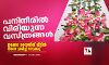 പനിനീരില്‍ വിരിയുന്ന വസ്ത്രങ്ങള്‍;ഇക്കോ ഡൈയിങ് വീട്ടില്‍ തന്നെ ശ്രമിച്ച് നോക്കൂ