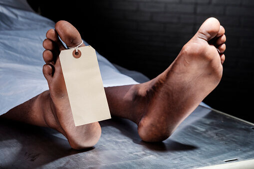 പ്രഭാത സവാരിക്കിടെ വൈദ്യുതാഘാതമേറ്റ് വയോധിക മരിച്ചു പ്രഭാത സവാരിക്കിടെ വൈദ്യുതാഘാതമേറ്റ് വയോധിക മരിച്ചു