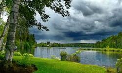 പരിസ്ഥിതി സംവേദക മേഖല- നിയമനടപടിയും നിയമനിർമാണവും ആവശ്യപ്പെട്ട് വനം മന്ത്രി