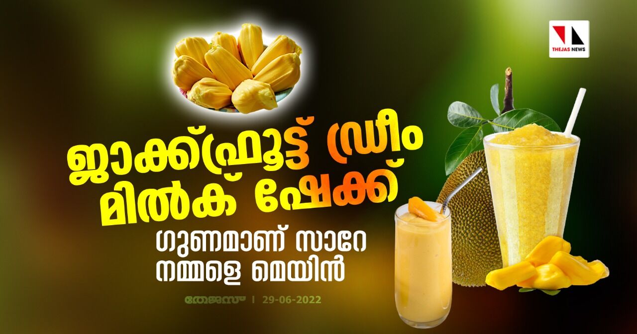ജാക്ക്ഫ്രൂട്ട് ഡ്രീം മില്ക് ഷേക്ക്;ഗുണമാണ് സാറേ നമ്മളെ മെയിന് ജാക്ക്ഫ്രൂട്ട് ഡ്രീം മില്ക് ഷേക്ക്;ഗുണമാണ് സാറേ നമ്മളെ മെയിന്
