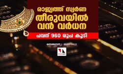 രാജ്യത്ത് സ്വര്ണ തീരുവയില് വന് വര്ധന; പവന് 960 രൂപ കൂടി രാജ്യത്ത് സ്വര്ണ തീരുവയില് വന് വര്ധന; പവന് 960 രൂപ കൂടി