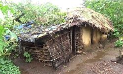 ലൈഫ് മിഷൻ ഫണ്ടില്ല; ഇടുക്കിയിൽ ആദിവാസികളുടെ ആയിരത്തിലധികം വീടുകളുടെ നിര്മാണം നിലച്ചു ലൈഫ് മിഷൻ ഫണ്ടില്ല; ഇടുക്കിയിൽ ആദിവാസികളുടെ ആയിരത്തിലധികം വീടുകളുടെ നിര്മാണം നിലച്ചു