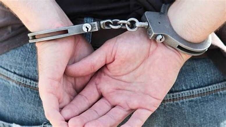 100 ഗ്രാം എംഡിഎംഎയുമായി യുവാവ് പിടിയില്‍