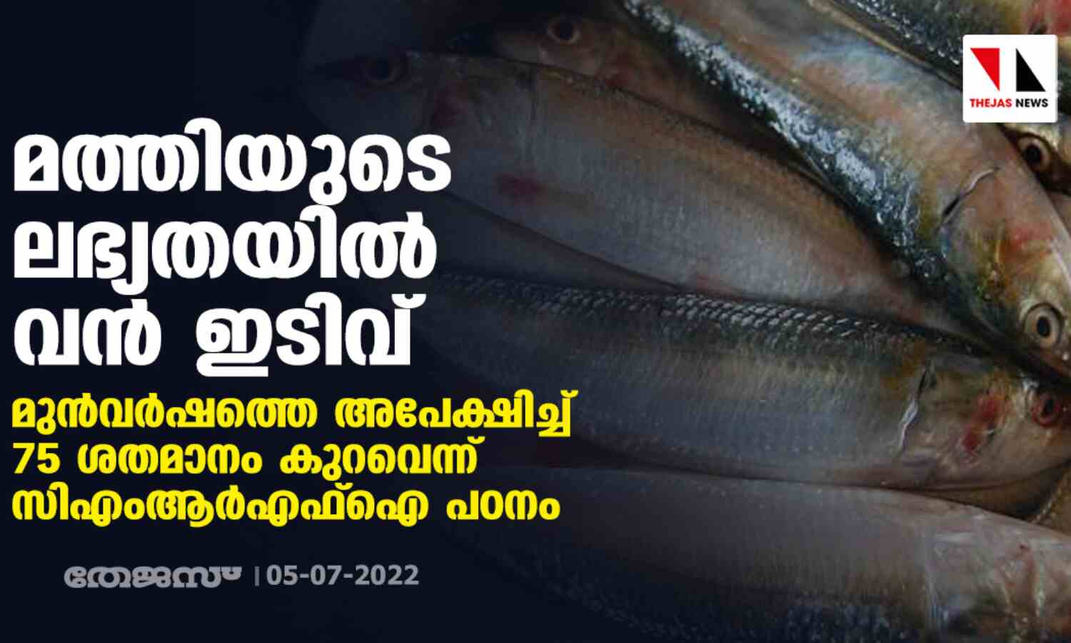 മത്തിയുടെ ലഭ്യതയില് വന് ഇടിവ്; മുന്വര്ഷത്തെ അപേക്ഷിച്ച് 75 ശതമാനം കുറവെന്ന് സിഎംആര്എഫ് ഐ പഠനം മത്തിയുടെ ലഭ്യതയില് വന് ഇടിവ്; മുന്വര്ഷത്തെ അപേക്ഷിച്ച് 75 ശതമാനം കുറവെന്ന് സിഎംആര്എഫ് ഐ പഠനം
