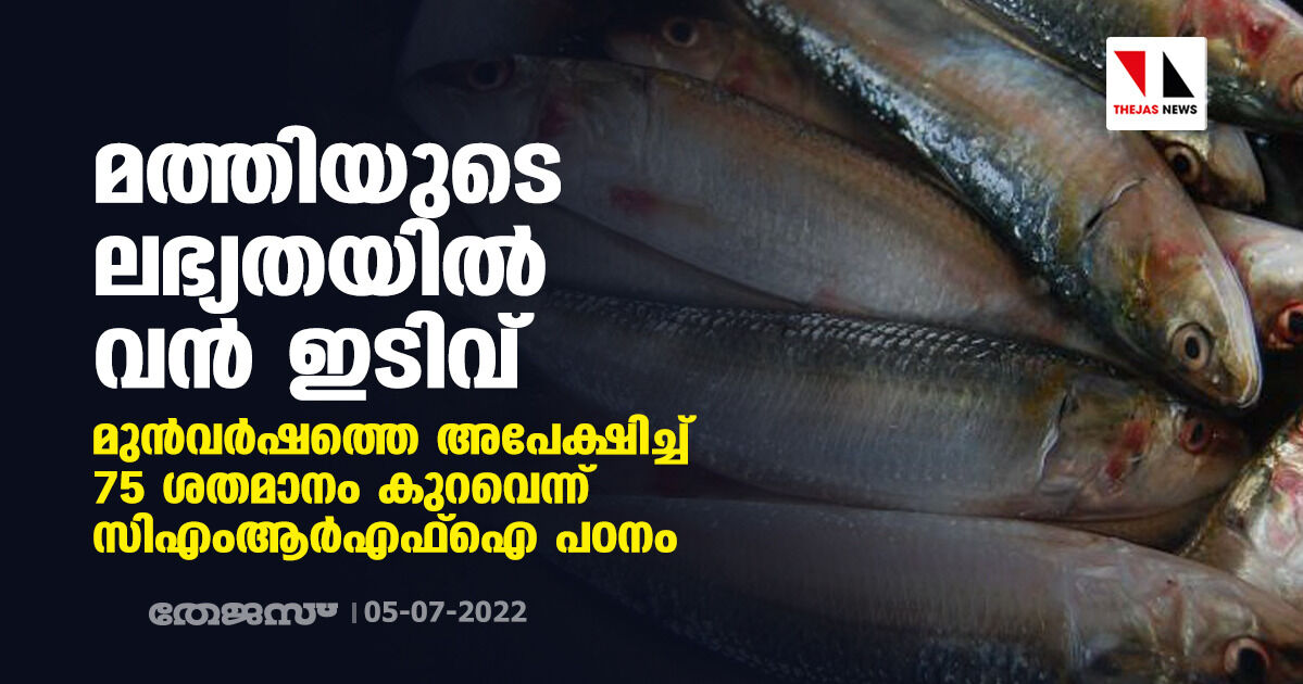 മത്തിയുടെ ലഭ്യതയില് വന് ഇടിവ്; മുന്വര്ഷത്തെ അപേക്ഷിച്ച് 75 ശതമാനം കുറവെന്ന് സിഎംആര്എഫ് ഐ പഠനം മത്തിയുടെ ലഭ്യതയില് വന് ഇടിവ്; മുന്വര്ഷത്തെ അപേക്ഷിച്ച് 75 ശതമാനം കുറവെന്ന് സിഎംആര്എഫ് ഐ പഠനം