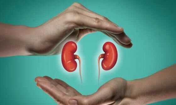 അവയവദാന സംവിധാനങ്ങൾ ശക്തിപ്പെടുത്താൻ ഒന്നര കോടി രൂപ അവയവദാന സംവിധാനങ്ങൾ ശക്തിപ്പെടുത്താൻ ഒന്നര കോടി രൂപ