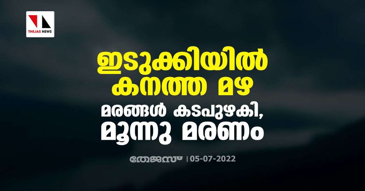 ഇടുക്കിയില്‍ കനത്ത മഴ: മരങ്ങള്‍ കടപുഴകി, മൂന്നു മരണം