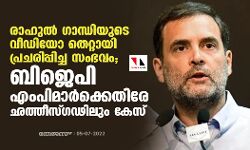 രാഹുല്‍ ഗാന്ധിയുടെ വീഡിയോ തെറ്റായി പ്രചരിപ്പിച്ച സംഭവം; ബിജെപി എംപിമാര്‍ക്കെതിരേ ഛത്തീസ്ഗഢിലും കേസ്
