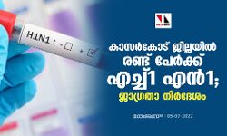 കാസര്‍കോട് ജില്ലയില്‍ രണ്ട് പേര്‍ക്ക് എച്ച്1 എന്‍1;ജാഗ്രതാ നിര്‍ദ്ദേശം