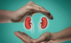 เด
เดตเดฏเดตเดฆเดพเดจ เดธเดเดตเดฟเดงเดพเดจเดเตเดเตพ เดถเดเตเดคเดฟเดชเตเดชเตเดเตเดคเตเดคเดพเตป เดเดจเตเดจเดฐ เดเตเดเดฟ เดฐเตเดช เด
เดตเดฏเดตเดฆเดพเดจ เดธเดเดตเดฟเดงเดพเดจเดเตเดเตพ เดถเดเตเดคเดฟเดชเตเดชเตเดเตเดคเตเดคเดพเตป เดเดจเตเดจเดฐ เดเตเดเดฟ เดฐเตเดช