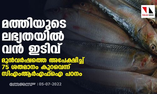 മത്തിയുടെ ലഭ്യതയില്‍ വന്‍ ഇടിവ്; മുന്‍വര്‍ഷത്തെ അപേക്ഷിച്ച് 75 ശതമാനം കുറവെന്ന് സിഎംആര്‍എഫ് ഐ പഠനം