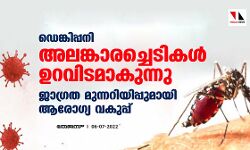 ഡെങ്കിപ്പനി: അലങ്കാരച്ചെടികള്‍ ഉറവിടമാകുന്നു; ജാഗ്രത മുന്നറിയിപ്പുമായി ആരോഗ്യ വകുപ്പ്