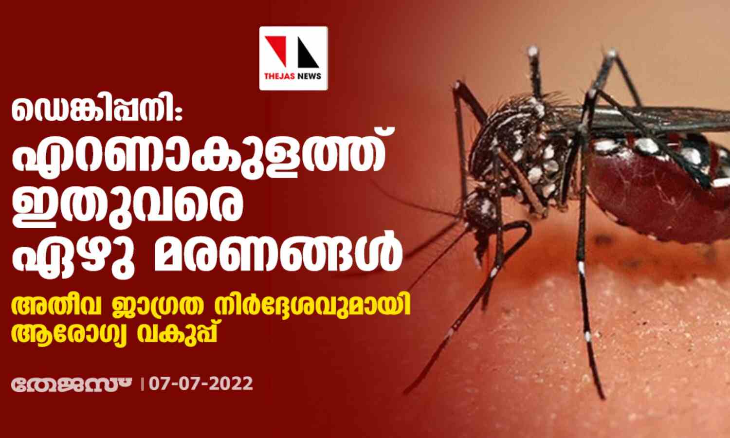 ഡെങ്കിപ്പനി: എറണാകുളത്ത് ഇതുവരെ ഏഴു മരണങ്ങള്‍;അതീവ ജാഗ്രത നിര്‍ദ്ദേശവുമായി ആരോഗ്യ വകുപ്പ്