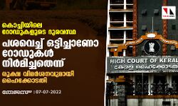 കൊച്ചിയിലെ റോഡുകളുടെ ദുരവസ്ഥ: പശവെച്ച് ഒട്ടിച്ചാണോ റോഡുകള്‍ നിര്‍മിച്ചതെന്ന് ; രൂക്ഷ വിമര്‍ശനവുമായി ഹൈക്കോടതി