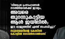 വിദ്വേഷ പ്രസംഗങ്ങള്‍ നടത്തിയവര്‍ക്ക് ജാമ്യം, അവരെ തുറന്നുകാട്ടിയ ആള്‍ ജയിലില്‍; ഈ രാജ്യത്തിന് എന്ത് സംഭവിച്ചു?: സുബൈറിന്റെ കേസില്‍ കോളിന്‍ ഗോണ്‍സാല്‍വസ്