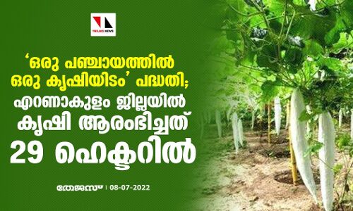 ഒരു പഞ്ചായത്തില്‍ ഒരു കൃഷിയിടം പദ്ധതി; എറണാകുളം ജില്ലയില്‍ കൃഷി ആരംഭിച്ചത് 29 ഹെക്ടറില്‍