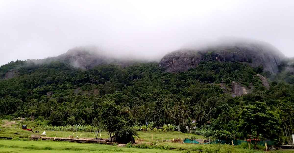 ജനവാസ കേന്ദ്രങ്ങളെ പൂർണമായി ഒഴിവാക്കി ബഫർ സോണിന് കേരളം തയ്യാറാകണമെന്ന് ലത്തീൻ കാത്തലിക് കൗൺസിൽ ജനവാസ കേന്ദ്രങ്ങളെ പൂർണമായി ഒഴിവാക്കി ബഫർ സോണിന് കേരളം തയ്യാറാകണമെന്ന് ലത്തീൻ കാത്തലിക് കൗൺസിൽ