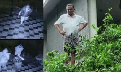 നാല് വർഷത്തിനിടെ രണ്ടാം തവണ; ഉദുമ മുൻ എംഎൽഎയുടെ വീട്ടിലെ ചന്ദന മരം മുറിച്ച് കടത്തി നാല് വർഷത്തിനിടെ രണ്ടാം തവണ; ഉദുമ മുൻ എംഎൽഎയുടെ വീട്ടിലെ ചന്ദന മരം മുറിച്ച് കടത്തി