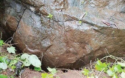 കവളപ്പാറ ഉരുള്പൊട്ടലുണ്ടായ മുത്തപ്പൻ കുന്നിന്റെ മറുഭാഗത്ത് വിള്ളൽ കവളപ്പാറ ഉരുള്പൊട്ടലുണ്ടായ മുത്തപ്പൻ കുന്നിന്റെ മറുഭാഗത്ത് വിള്ളൽ