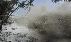 കടൽക്ഷോഭം നേരിടാൻ 24.25 ലക്ഷം അനുവദിച്ചു