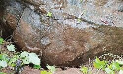 കവളപ്പാറ ഉരുള്പൊട്ടലുണ്ടായ മുത്തപ്പൻ കുന്നിന്റെ മറുഭാഗത്ത് വിള്ളൽ കവളപ്പാറ ഉരുള്പൊട്ടലുണ്ടായ മുത്തപ്പൻ കുന്നിന്റെ മറുഭാഗത്ത് വിള്ളൽ