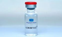 കൊവിഡ് വാക്സിന് എടുത്തതിന് പിന്നാലെ ഛര്ദ്ദിയും പനിയും; കോട്ടയത്ത് പന്ത്രണ്ടുകാരി മരിച്ചു കൊവിഡ് വാക്സിന് എടുത്തതിന് പിന്നാലെ ഛര്ദ്ദിയും പനിയും; കോട്ടയത്ത് പന്ത്രണ്ടുകാരി മരിച്ചു