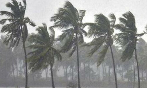 റെഡ് അലര്ട്ട്: അടിയന്തര സാഹചര്യങ്ങള് നേരിടാന് എറണാകുളം ജില്ല പൂര്ണ്ണ സജ്ജമെന്ന് ജില്ലാ ഭരണകൂടം റെഡ് അലര്ട്ട്: അടിയന്തര സാഹചര്യങ്ങള് നേരിടാന് എറണാകുളം ജില്ല പൂര്ണ്ണ സജ്ജമെന്ന് ജില്ലാ ഭരണകൂടം
