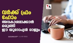 വര്‍ക്ക് ഫ്രം ഹോം അവകാശമാക്കാന്‍ ഒരുങ്ങി ഈ യൂറോപ്യന്‍ രാജ്യം