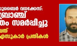 പാലക്കാട് സുബൈര്‍ വധക്കേസ്: ക്രൈംബ്രാഞ്ച് കുറ്റപത്രം സമര്‍പ്പിച്ചു;ആകെ ഒമ്പത് ആര്‍എസ്എസുകാര്‍ പ്രതികള്‍