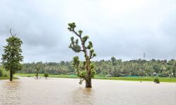 വയനാട്ടില്‍ മഴ കനത്തു: എന്‍ ഊരിലേക്കുള്ള പ്രവേശനം നിരോധിച്ചു