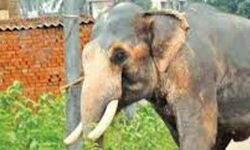 เดชเตเดคเตเดคเตเดเดฒเตเดฒเดฟเดฒเตโ เดเดจเดตเดพเดธ เดเตเดจเตเดฆเตเดฐเดคเตเดคเดฟเดฒเตโ เดชเดเตเดเดพเดชเตเดชเดเดฒเตโ เดเดพเดเตเดเดพเดจเดฏเตเดเต เดเดเตเดฐเดฎเดฃเด; เดธเดฟเดตเดฟเดฒเตโ เดชเตเดฒเดฟเดธเต เดเดซเดฟเดธเดฐเตโเดเตเดเต เดชเดฐเดฟเดเตเดเต เดชเตเดคเตเดคเตเดเดฒเตเดฒเดฟเดฒเตโ เดเดจเดตเดพเดธ เดเตเดจเตเดฆเตเดฐเดคเตเดคเดฟเดฒเตโ เดชเดเตเดเดพเดชเตเดชเดเดฒเตโ เดเดพเดเตเดเดพเดจเดฏเตเดเต เดเดเตเดฐเดฎเดฃเด; เดธเดฟเดตเดฟเดฒเตโ เดชเตเดฒเดฟเดธเต เดเดซเดฟเดธเดฐเตโเดเตเดเต เดชเดฐเดฟเดเตเดเต